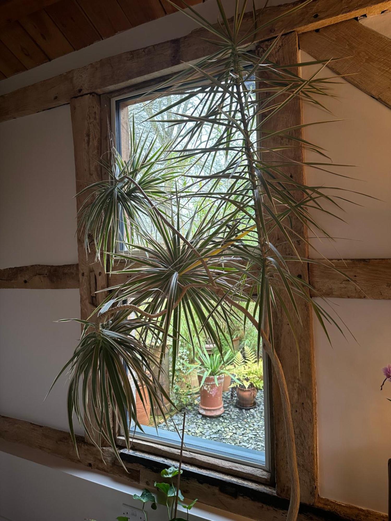 Villa The Barn à Romsey Extérieur photo